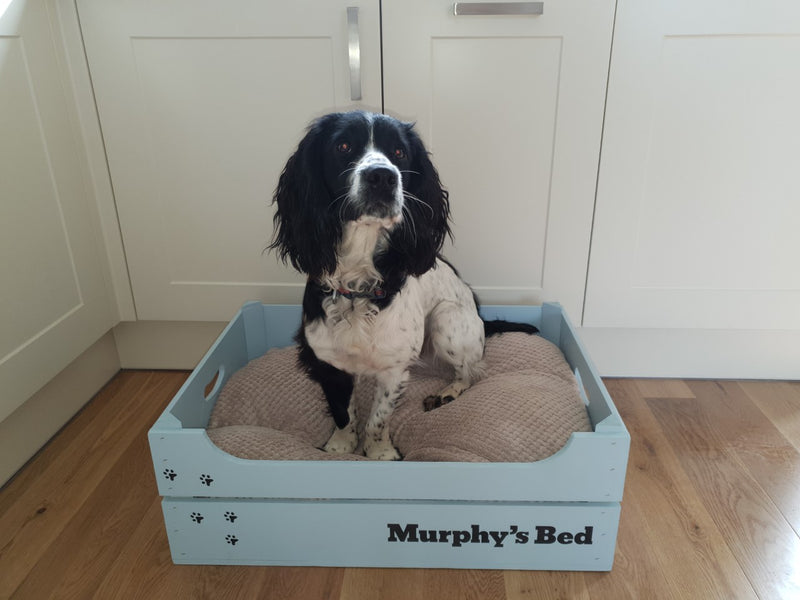 Personalised Large Pet Bed