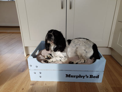 Personalised Large Pet Bed