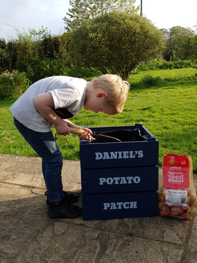 Personalised Potato Planter