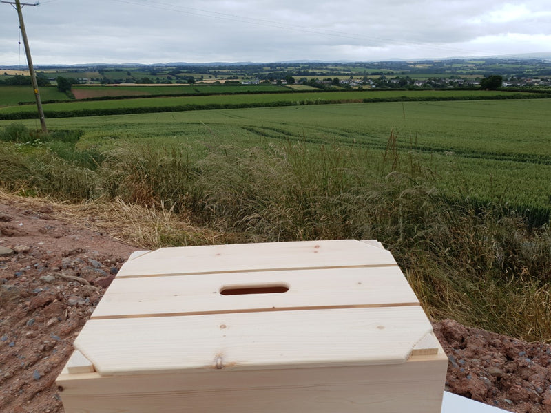 Crate Lid